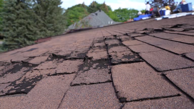 Best Storm Damage Roof Repair  in Jonesboro, GA